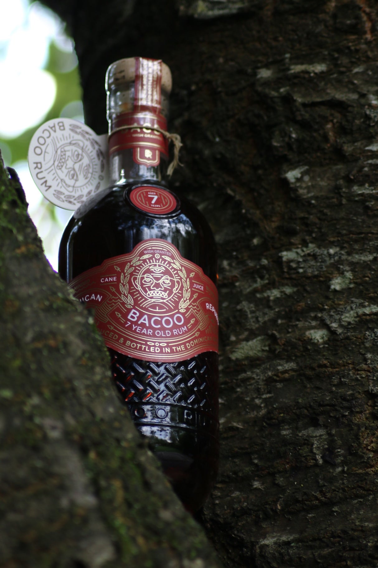 Bacoo 7 Year Old Rum zwischen Baumstämmen, rote Etiketten und geprägte Flasche aus der Dominikanischen Republik.