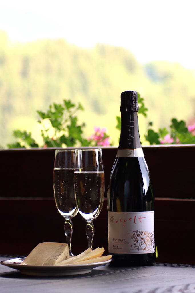 Bio Cava Brut Nature Reserva_"Escuturit" von Mas Espelt mit Käse