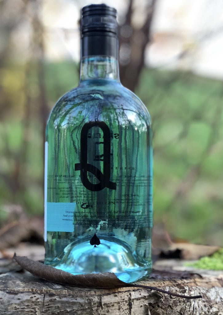 Blue Gin „Q“ Flasche mit blaugrünem Schimmer, fotografiert auf Baumstumpf vor unscharfem Waldhintergrund.