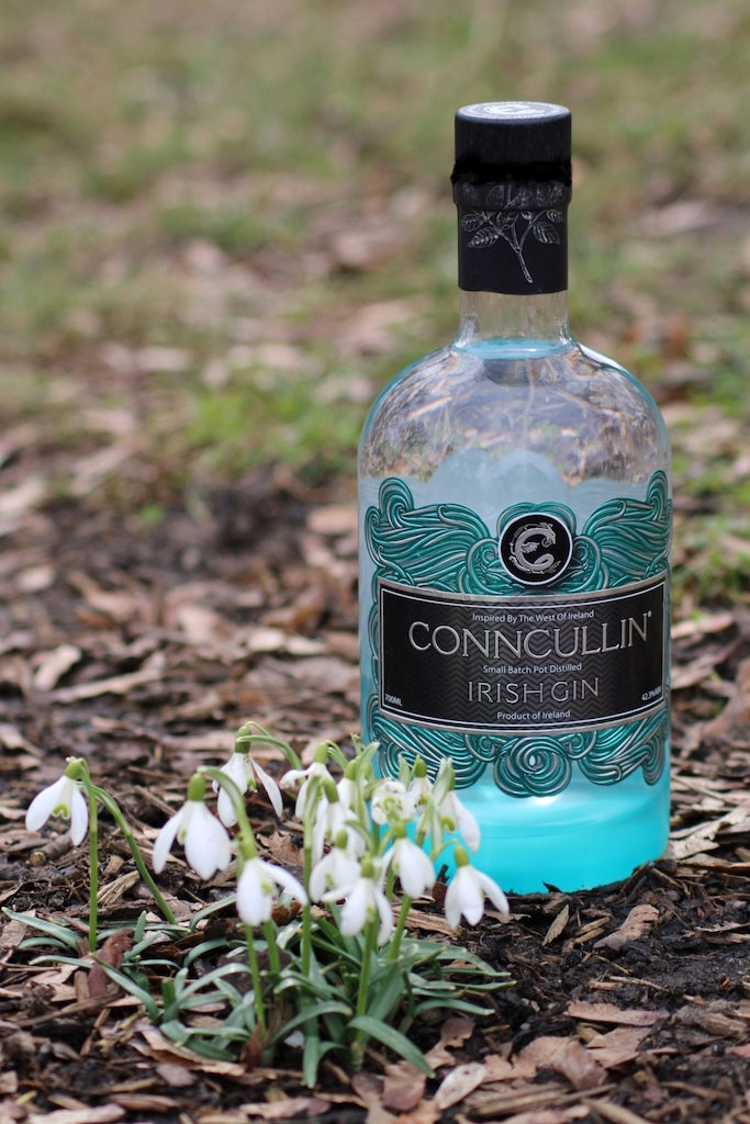 Conncullin Irish Gin Flasche mit türkisfarbenem Design steht auf Waldboden, daneben blühende Schneeglöckchen.