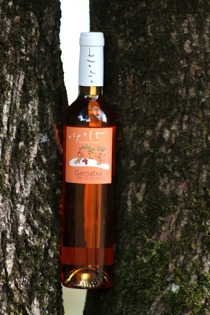 Flasche Bio-Dessertwein 'Garnatxa de l'Empordà' aus Katalonien, zwischen zwei Baumstämmen platziert, die die natürliche Umgebung und Herkunft des Weins betonen