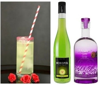 Frankenstein Blood Cocktail Set mit Tann’s Gin und Nordpol Melonenlikör, grünem Halloween Cocktail und rotem Zuckerrand.