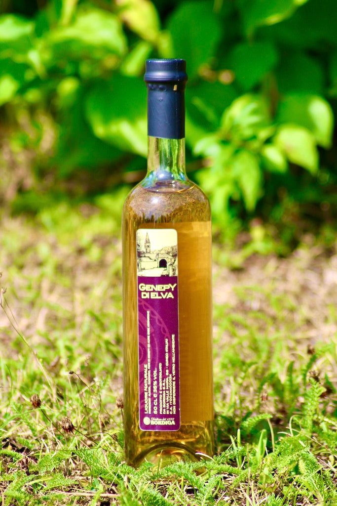 Flasche Genepy di Elva von Bordiga mit violettem Etikett, stehend im Gras vor grünem Blattwerk.