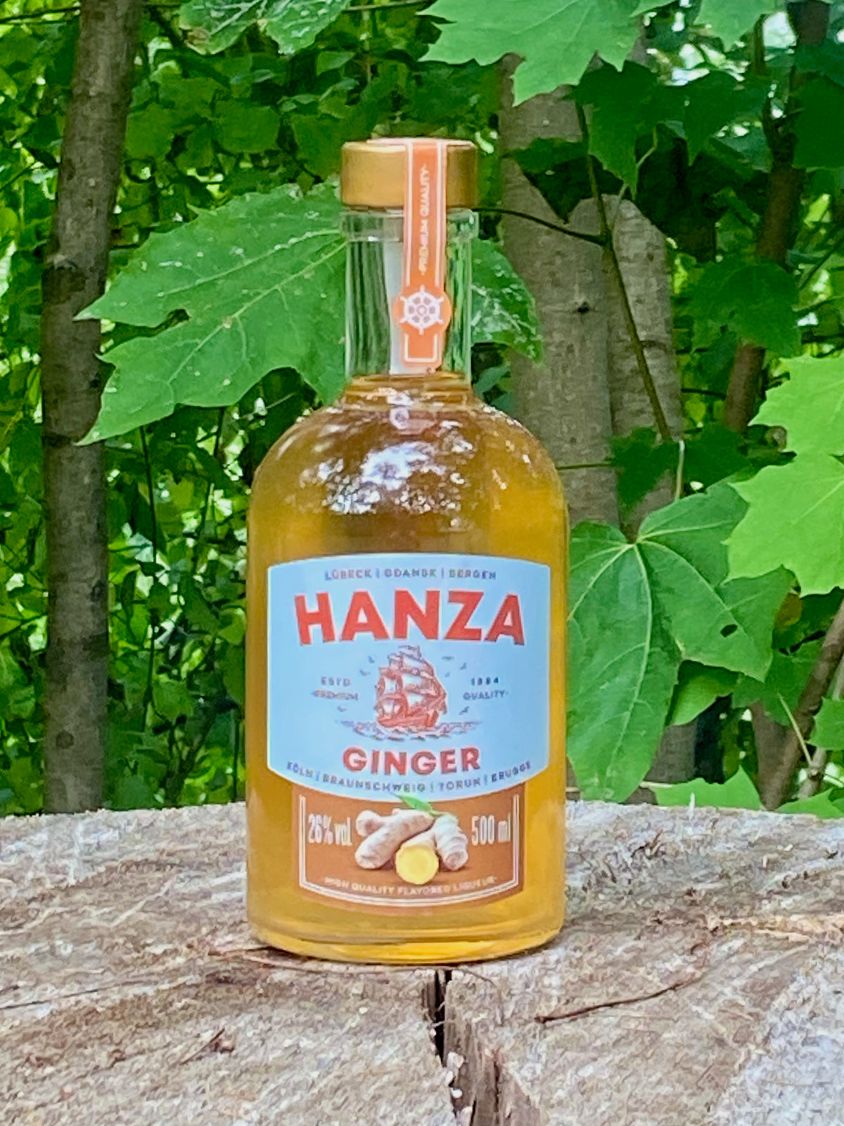 Hanza Ginger Ingwerlikör auf einem Baumstamm im Grünen, Flasche mit Ingwermotiv und Segelschiff auf dem Etikett.
