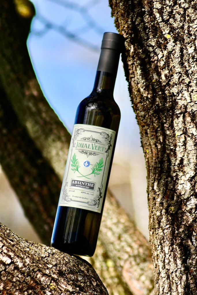 Flasche Joual Vert Absinthe Supérieure lehnt zwischen Baumstämmen, grünes und silbernes Etikett mit Fleur-de-Lis-Symbol.