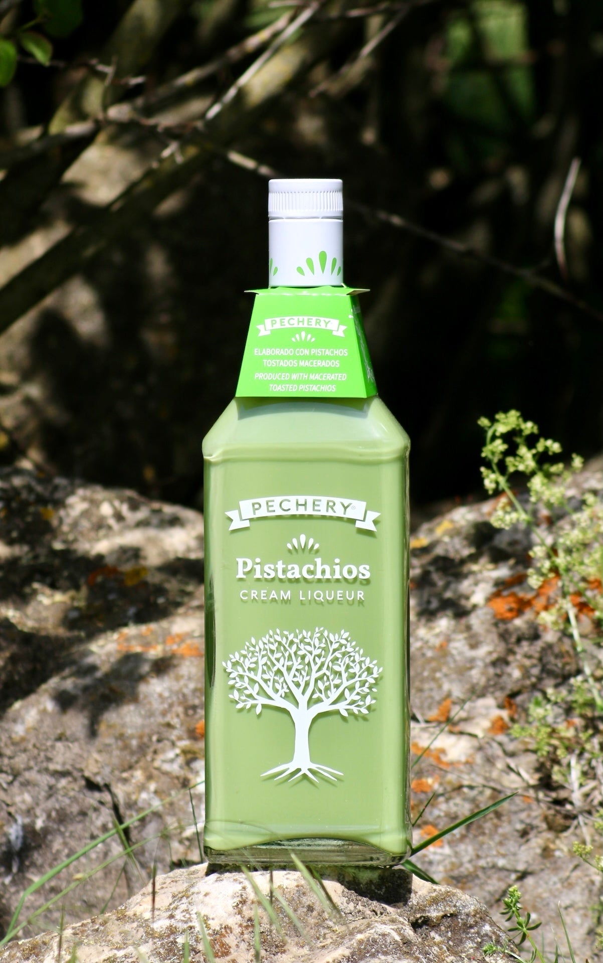 Pechery Pistazios Cream Liqueur in hellgrüner Flasche mit Baumdesign auf Felsen in der Natur
