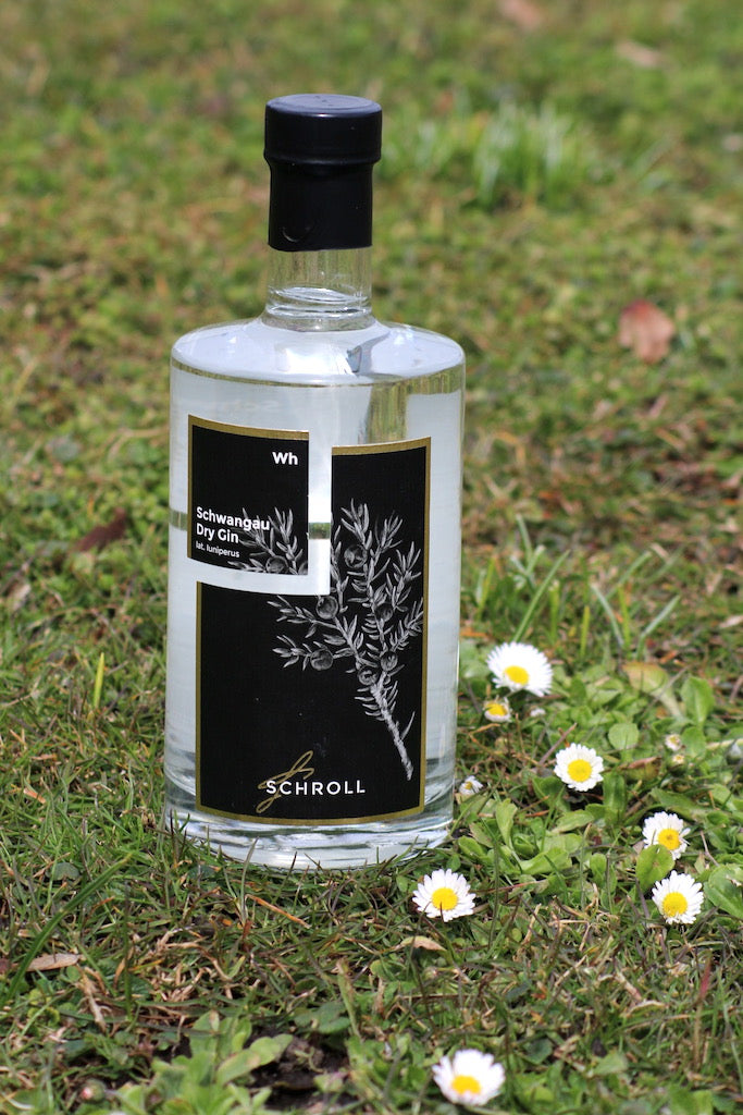 Schwangau Dry Gin Flasche mit schwarzem Etikett steht auf einer Frühlingswiese, umgeben von kleinen Gänseblümchen.
