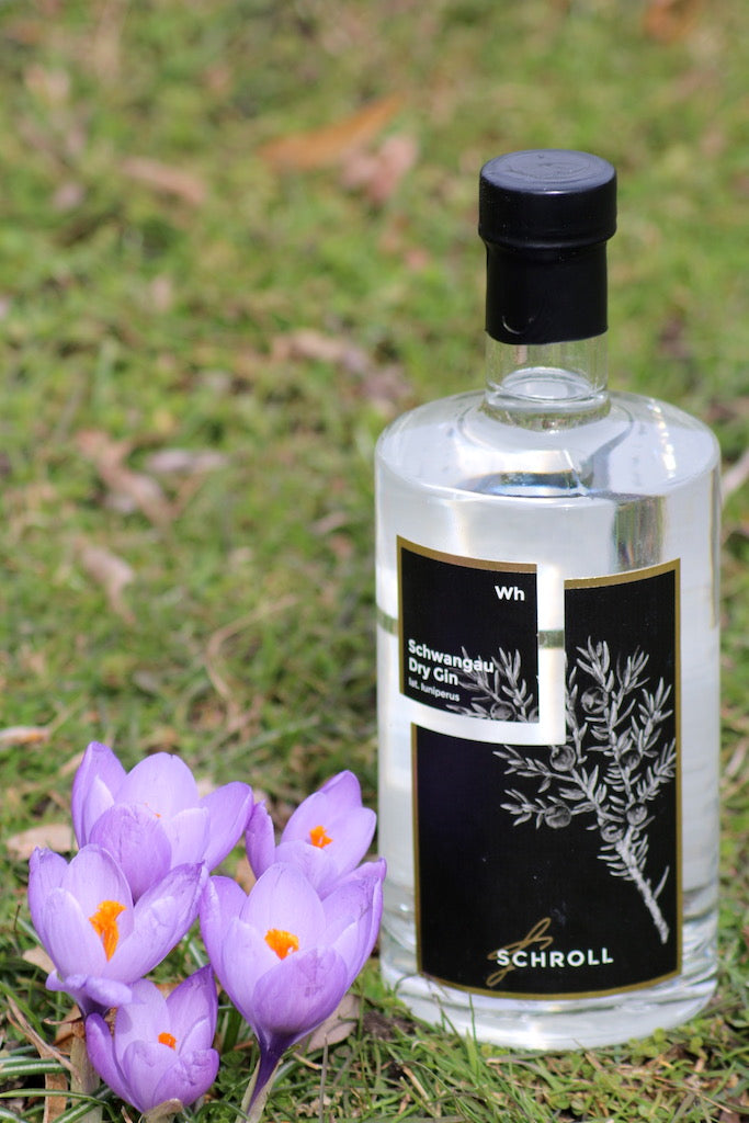 Schwangau Dry Gin Flasche mit schwarzem Etikett steht auf einer Wiese neben blühenden violetten Krokussen.