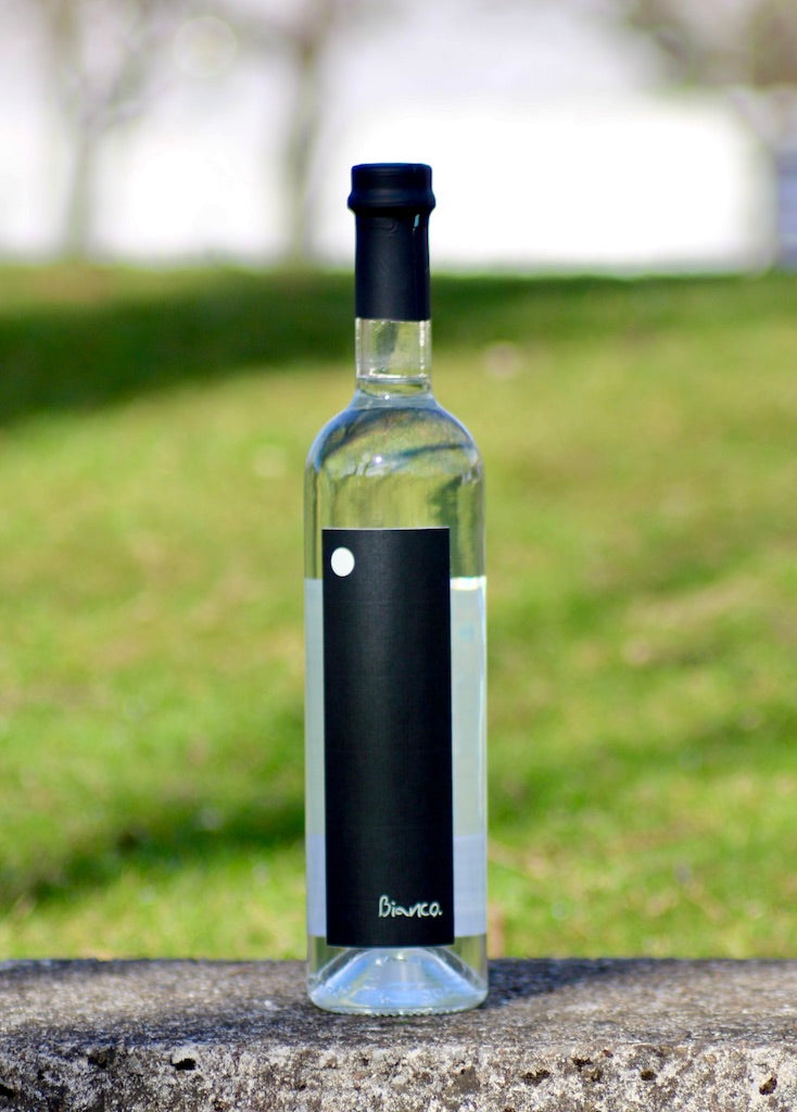 Flasche Genepy Bianco von Bordiga auf Steinfläche mit grünem Hintergrund und unscharfer Natur im Frühling.