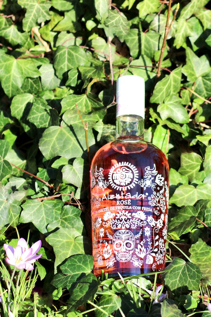 Flasche Alentador Rosé Tequila Cocktail mit Erdbeere umgeben von Frühlingsblumen