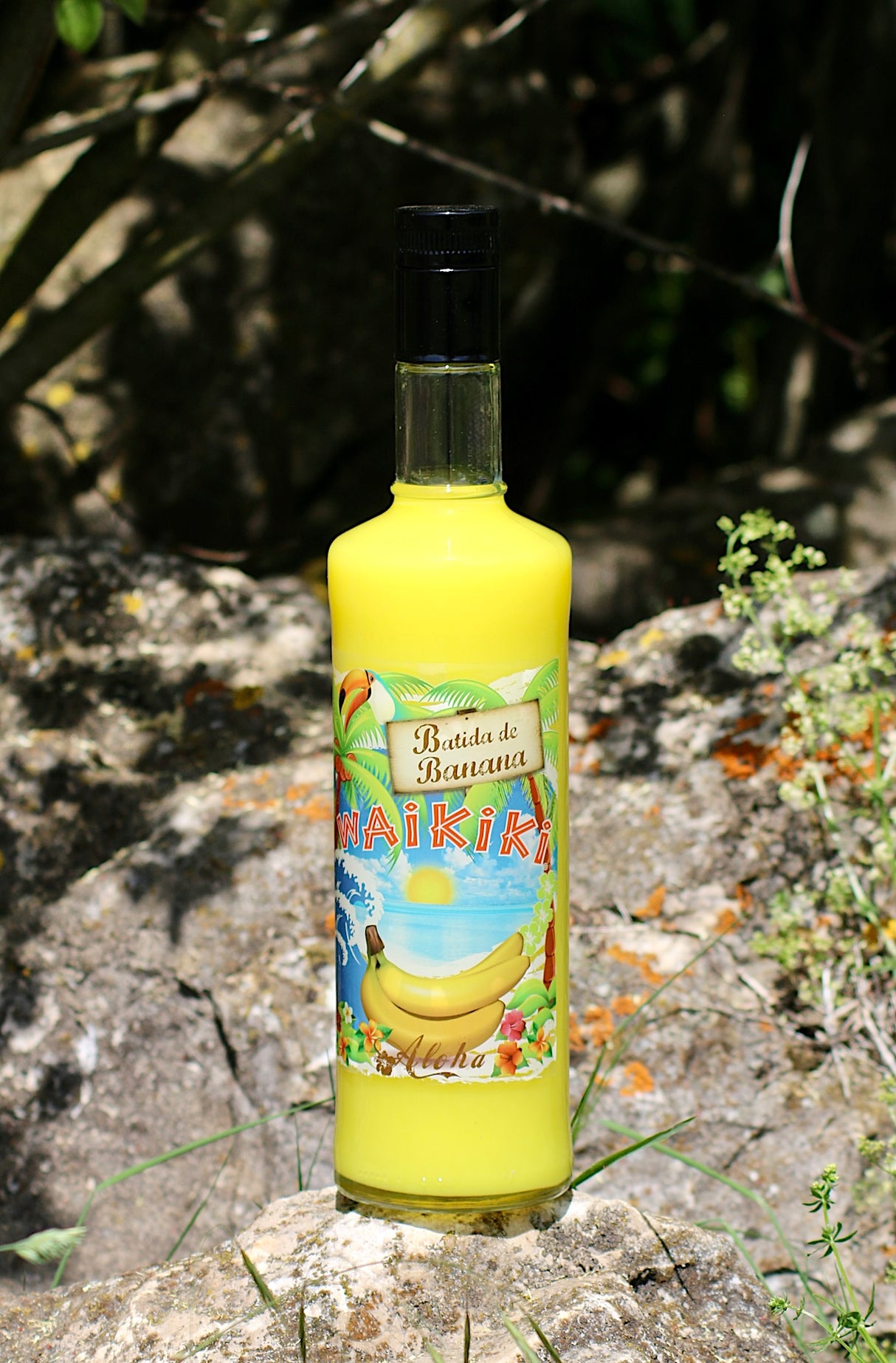 Waikiki Batida de Banana in gelber Flasche mit tropischem Etikett auf Felsen in der Natur