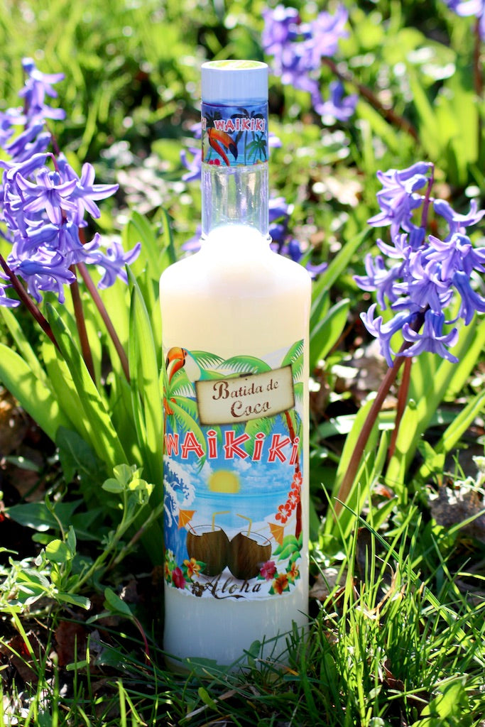 Flasche Batida de Coco Waikiki, stehend zwischen lila Frühjahrsblumen im Sonnenschein. Die Flasche hat ein tropisches Design mit Kokosnüssen und Strandmotiven auf dem Etikett.