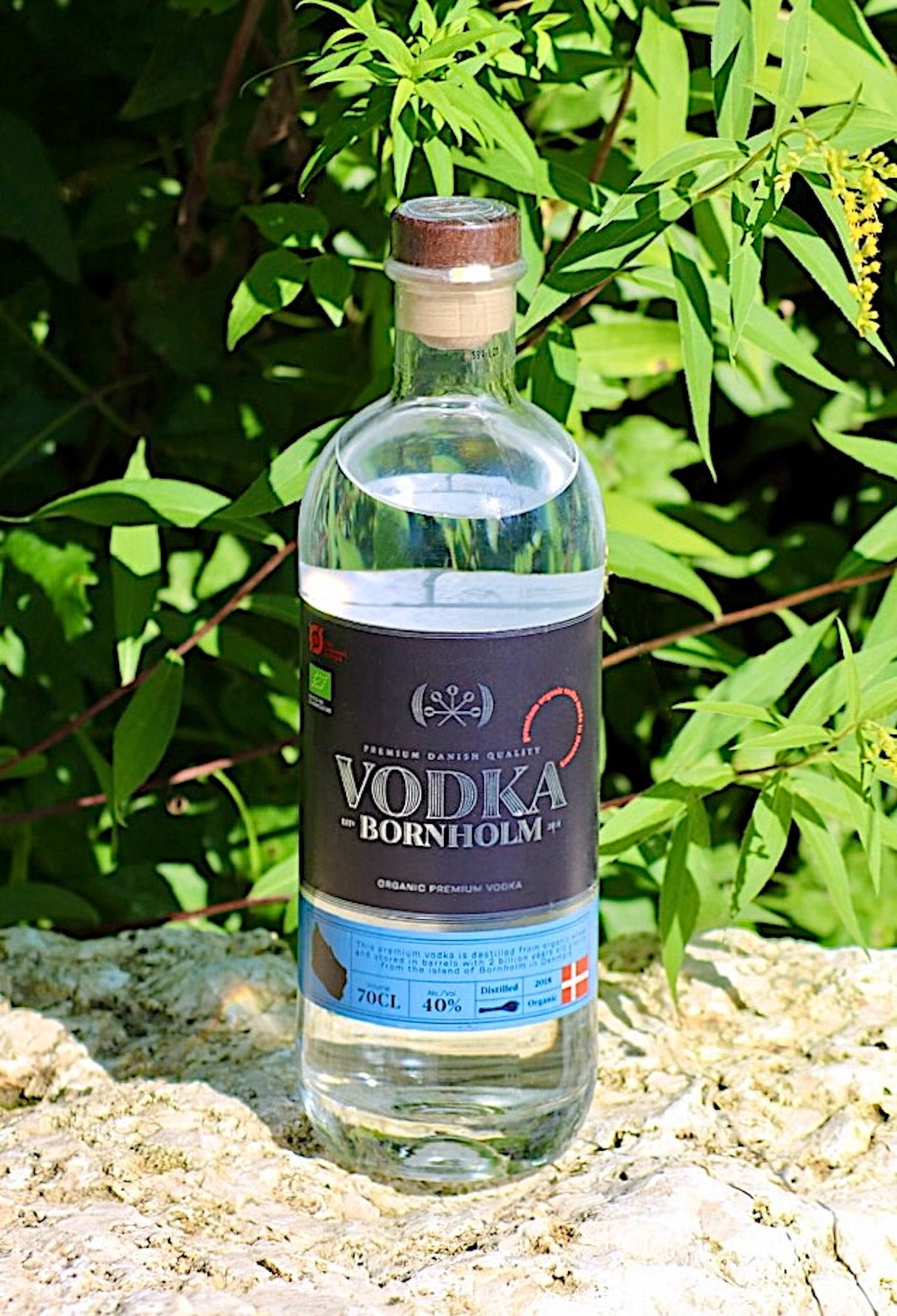 Eine Flasche Bio-Vodka Bornholm steht auf einem Felsen vor einem grünen, üppigen Pflanzenhintergrund, der die natürliche Herkunft des Produkts unterstreicht.