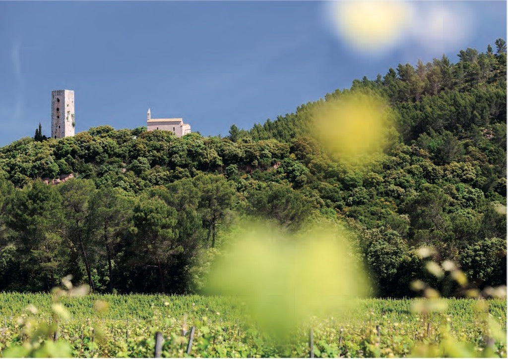 Château de Saint Martin_Provence