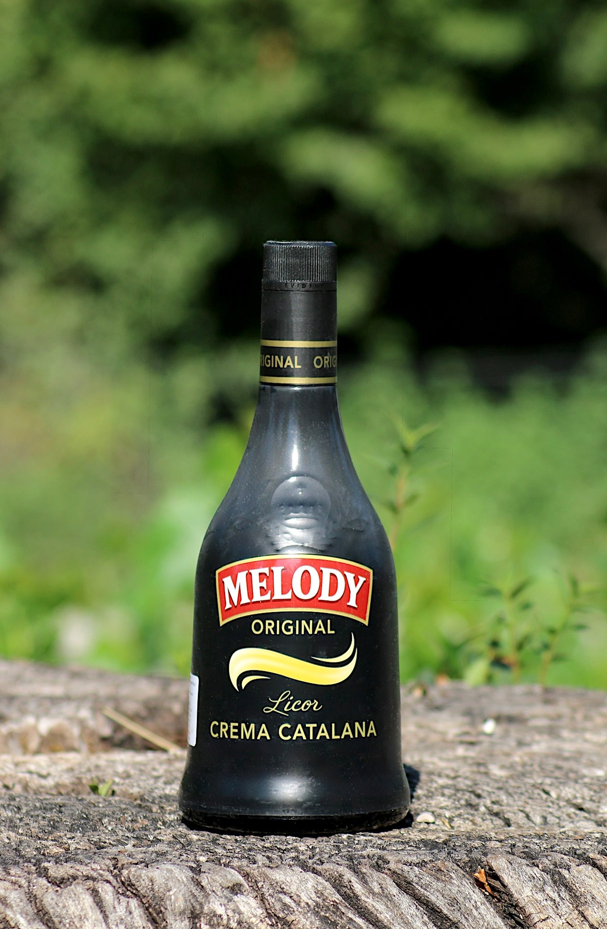 Melody Crema Catalana Likör Flasche auf Baumrinde vor grünem Hintergrund