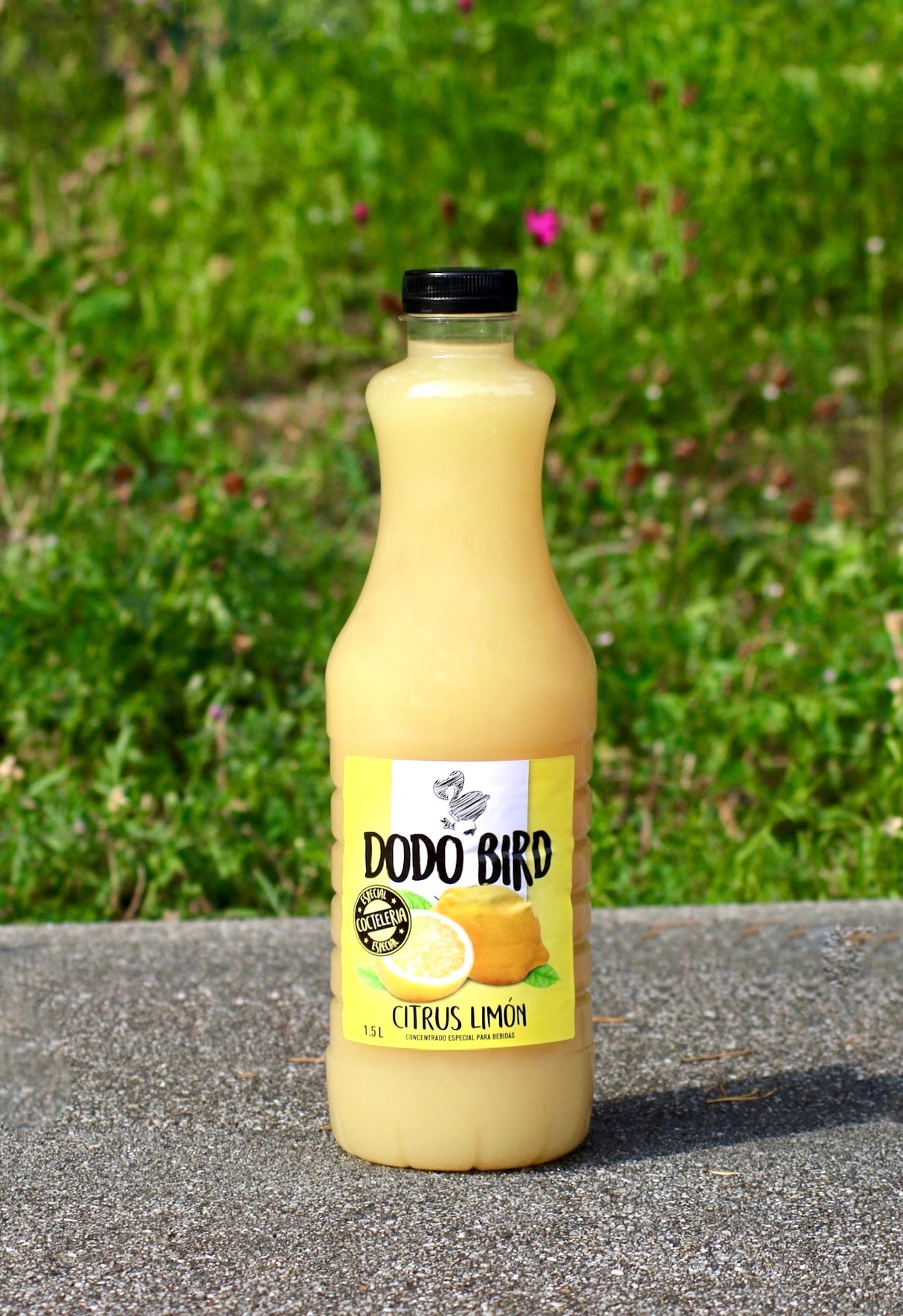 Flasche Dodo Bird Citrus Limon Zitronenkonzentrat, gelbes Getränk vor grünem Hintergrund. Ideal für Cocktails und Smoothies.