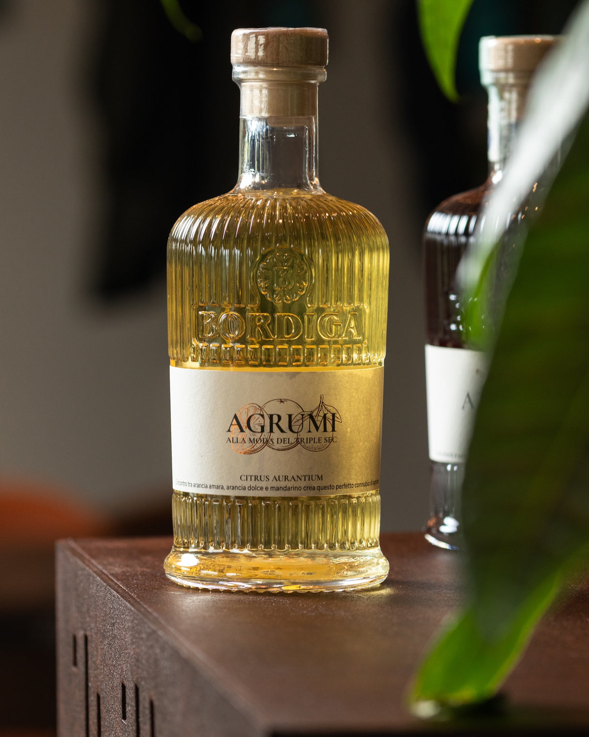 Bordiga Elisir Agrumi Zitrus Likör Flasche auf Holztisch mit Pflanze im Vordergrund