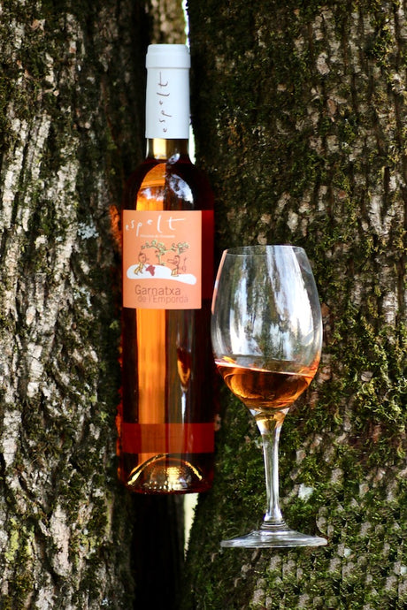 Flasche Bio-Dessertwein 'Garnatxa de l'Empordà' von Espelt neben einem Weinglas, zwischen zwei Baumstämmen platziert.