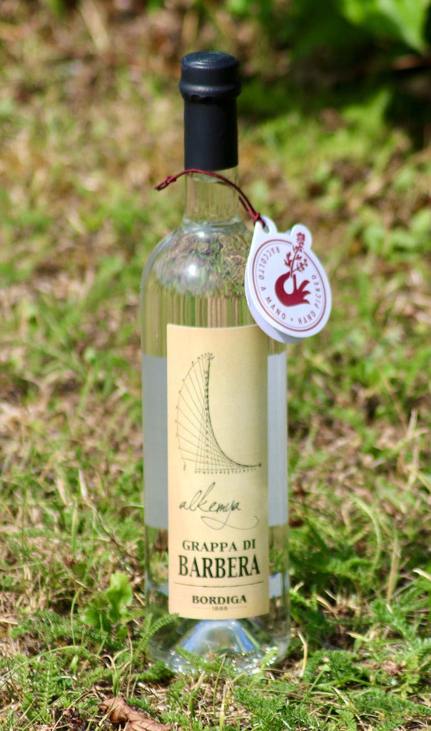 Grappa di Barbera "Alkemya" von Bordiga aus Italien