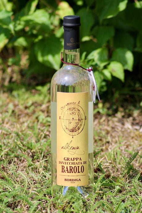 Flasche Grappa Invecchiata di Barolo "Alkemia" von Bordiga, im Gras mit grünem Hintergrund präsentiert.