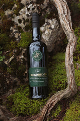 Gregorienne Kräuterlikör aus der Provence in dunkler Flasche mit grünem Etikett im moosigen Wald platziert