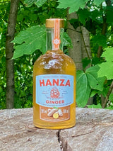 Hanza Ginger Ingwerlikör auf einem Baumstamm im Grünen, Flasche mit Ingwermotiv und Segelschiff auf dem Etikett.