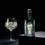 Italienischer Gin "Ciais Bordiga" & Tonic