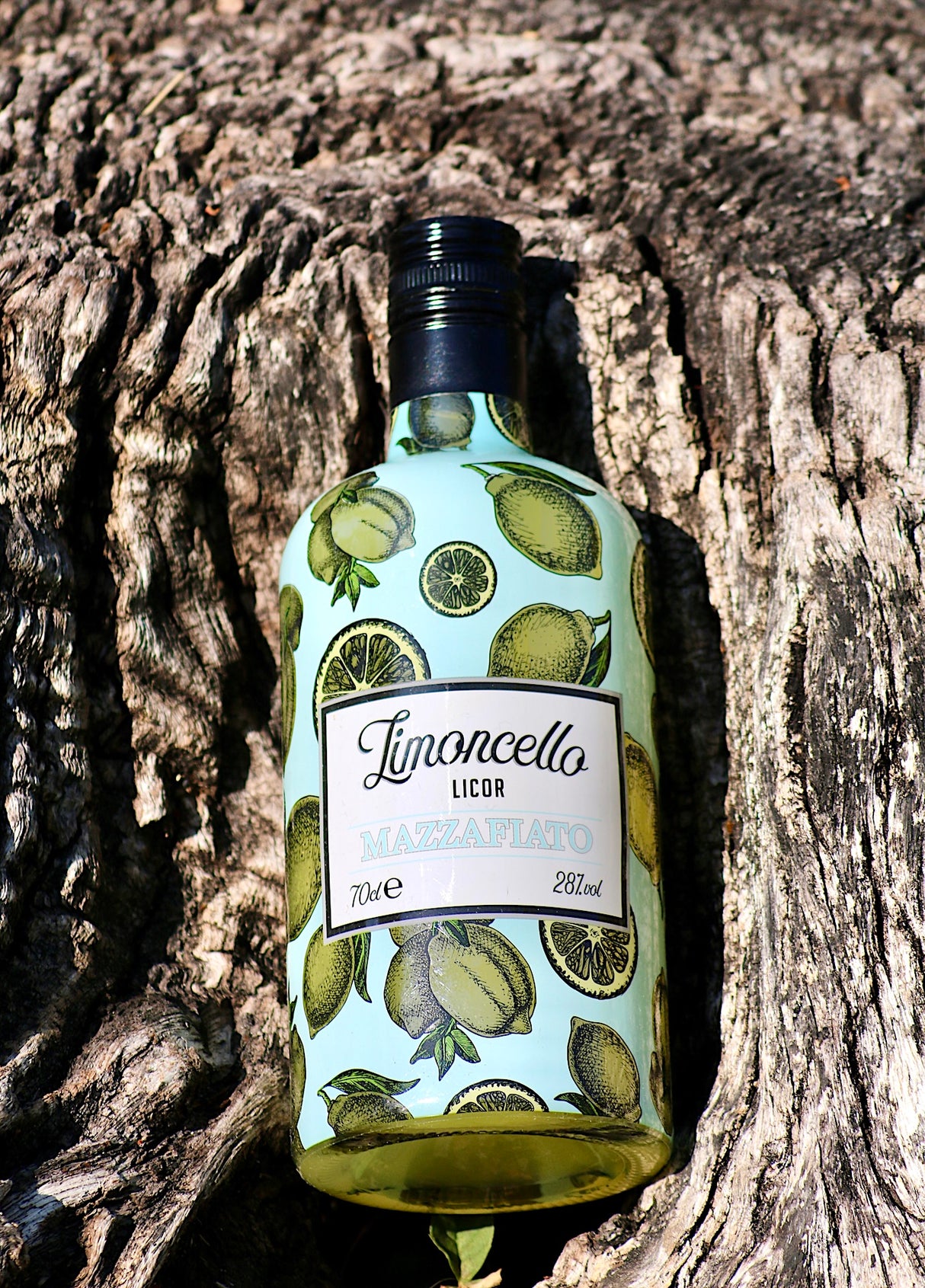 Limoncello Mazzafiato Flasche auf Baumrinde mit Zitronenmotiv auf dem Etikett