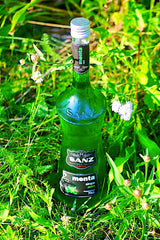 Minzsirup "Sanz"_Wiese_Sommersirup