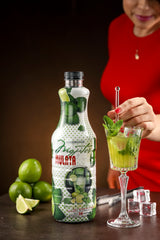 Mojito Fertigmix Mulata mit Modell