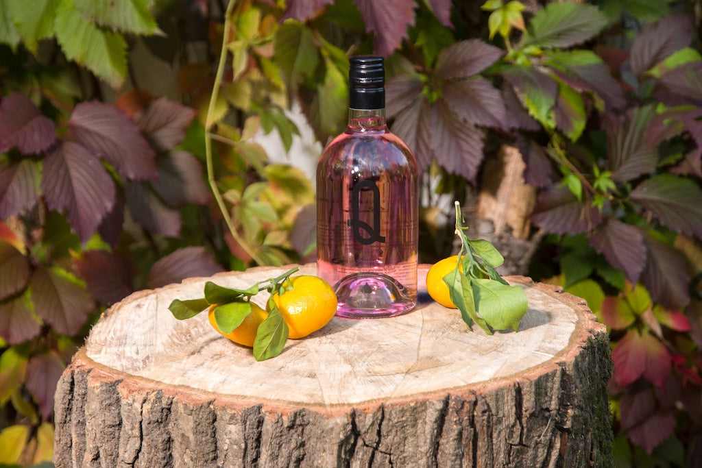 Rose Gin "Q" mit Mandarinen_Herbst