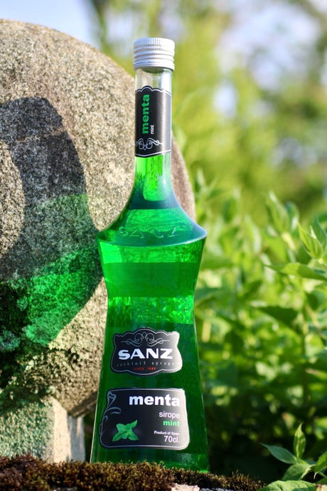 Flasche Sanz Minzsirup, grün, 70 cl, vor einem Stein und grünem Laub präsentiert