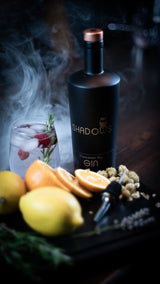 Shadows Franconian Dry Gin Flasche mit Gin-Cocktail, Zitrone, Orangenscheiben und Botanicals in einer stimmungsvollen Nebelszene.