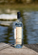 Tresterbrand Grappa di Chardonnay "Alchemya" aus Italien