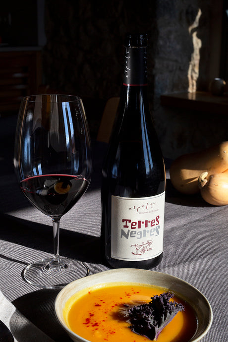 Wein Espelt Terres Negres Copa Crema